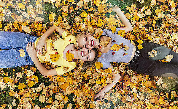 Porträt von zwei Mädchen im Teenageralter  die an einem warmen Herbsttag im Laub auf dem Boden liegen und in die Kamera schauen; St. Albert  Alberta  Kanada.