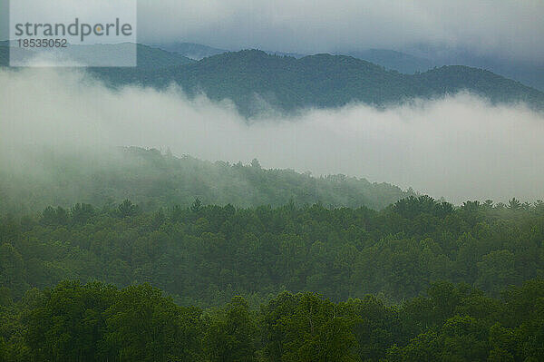 Nebel steigt aus den Wäldern bei Cades Cove im Great Smoky Mountains National Park  Tennessee  USA; Tennessee  Vereinigte Staaten von Amerika