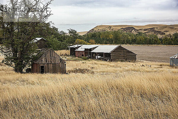 Verlassene Scheune und Nebengebäude in Eastern Washington  USA; Prescott  Washington  Vereinigte Staaten von Amerika