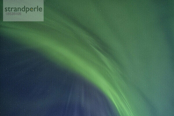 Aurora Borealis oder Nordlichter leuchten grün am Himmel über Churchill; Churchill  Manitoba  Kanada
