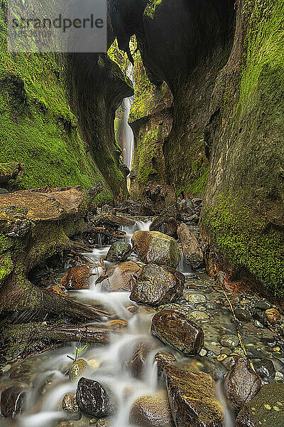 Versteckter Wasserfall  der über moosbewachsene Felsen am Sombrio Beach fließt  Vancouver Island  BC  Kanada; Port Renfrew  British Columbia  Kanada