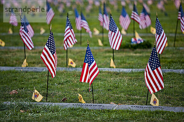 Amerikanische Flaggen auf dem Nationalfriedhof in Gettysburg  Gettysburg National Historic Park  Pennsylvania  USA; Pennsylvania  Vereinigte Staaten von Amerika