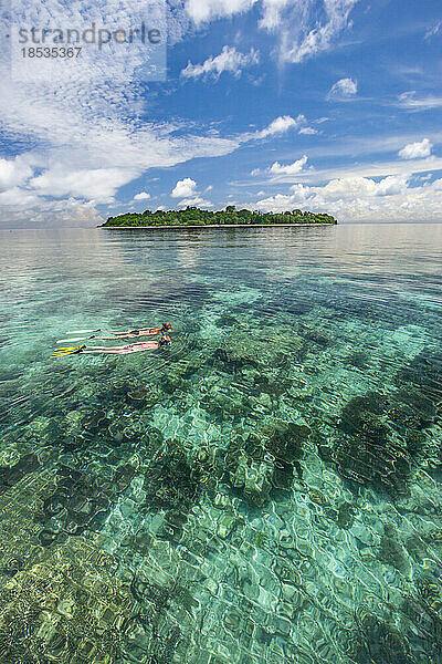 Schnorchler über dem Riff an einem besonders ruhigen  glasklaren Tag vor der Insel Sipidan in Malaysia; Sipidan Island  Malaysia