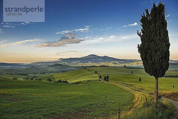 Bei Pienza  Val d' Orcia  Orcia-Tal  UNESCO-Weltkulturerbe  Provinz Siena  Toskana  Italien  Europa