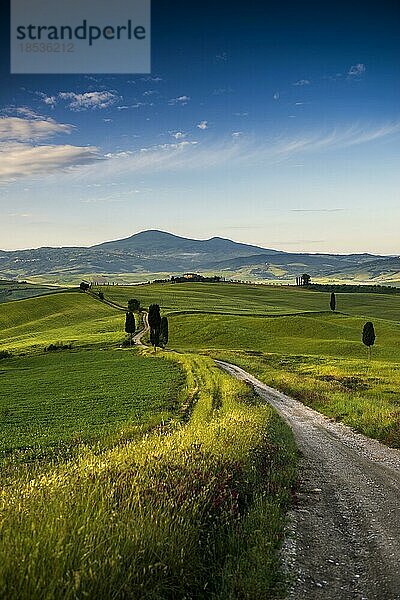 Bei Pienza  Val d' Orcia  Orcia-Tal  UNESCO-Weltkulturerbe  Provinz Siena  Toskana  Italien  Europa