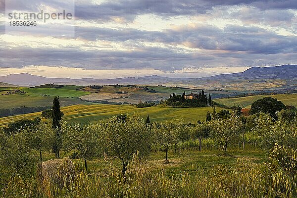 Bauernhaus und Zypressen  San Quirico d'Orcia  Val d' Orcia  Orcia-Tal  UNESCO-Weltkulturerbe  Provinz Siena  Toskana  Italien  Europa