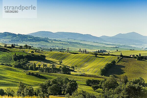 Val d' Orcia  Orcia-Tal  UNESCO-Weltkulturerbe  Provinz Siena  Toskana  Italien  Europa