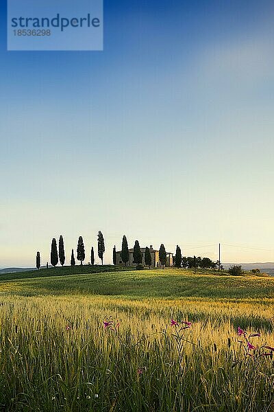 Bauernhaus und Zypressen  Sonnenaufgang  Pienza  Val d' Orcia  Orcia-Tal  UNESCO-Weltkulturerbe  Provinz Siena  Toskana  Italien  Europa