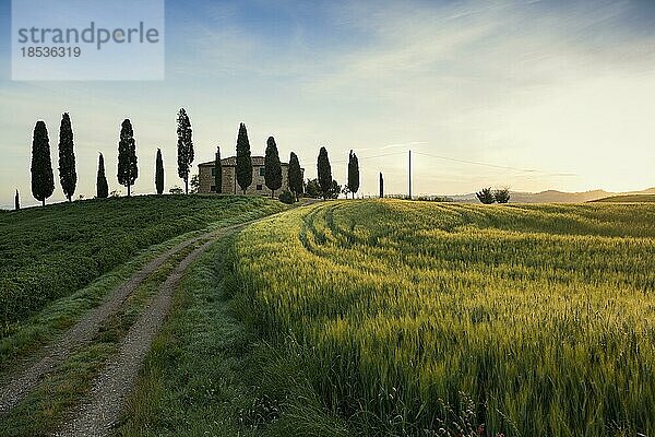 Bauernhaus und Zypressen  Sonnenaufgang  Pienza  Val d' Orcia  Orcia-Tal  UNESCO-Weltkulturerbe  Provinz Siena  Toskana  Italien  Europa