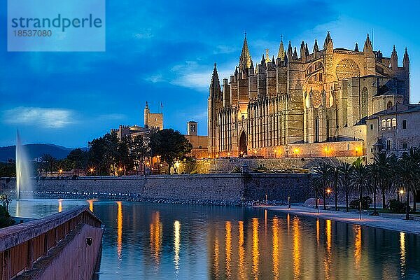 Kathedrale der Heiligen Maria La Seu in gotischer Baustil gotische Architektur im Abendlicht  Palma de Mallorca  Mallorca  Spanien  Europa