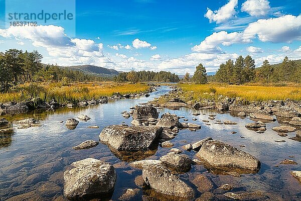 Flusslandschaft im Rondane Nationalpark  Norwegen  Skandinavien  Europa