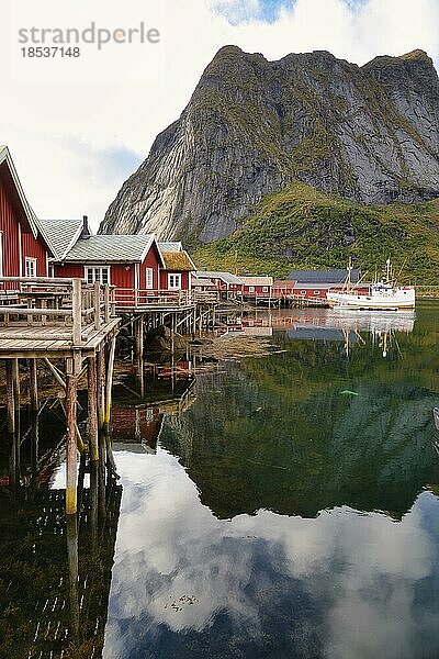 Traditionelle rote Rorbuer Hütten im Fischerdorf Reine  Lofoten Inseln  Norwegen  Europa