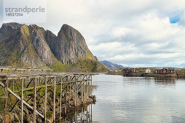 Trockengestelle für Fisch und traditionelle rote Rorbuer Hütten im Fischerdorf Reine  Lofoten Inseln  Norwegen  Europa