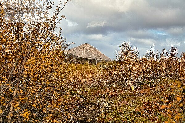 Vulkanlandschaft im Herbst bei Myvatn  Nordisland  Island  Europa