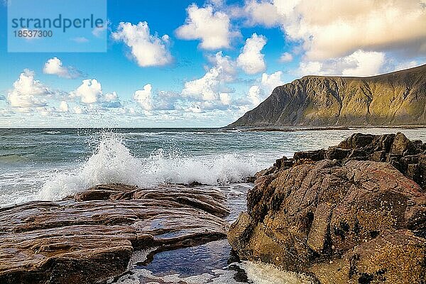 Fjordlandschaft im Sommer  Küstenlinie mit Strand und Felsenküste am Horizont  Fredvang  Selfjorden  Insel Moskenesøya  Flakstad  Lofoten  Nordland  Norwegen  Europa