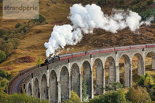 Glenfinnan Viadukt mit Dampflokomotive  Jacobite  Harry Potter Zug  Glenfinnan Viaduct  Schottland  Großbritannien  Europa