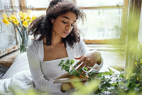 Hübsches romantisches afroamerikanisches Mädchen  das auf der Fensterbank sitzend ein Buch liest und mit Blumen überhäuft wird. Schöne Afro Frau liest fröhlich einen Roman in gemütlichem Zimmer. Bildung Konzept