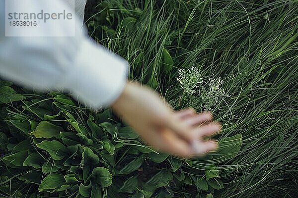 Nahaufnahme einer verschwommenen Hand der Frau  die das Gras berührt und die Natur spürt. Schönes grünes Gras. Die Hand berührt das Gras. Zurück zur Natur  Liebe zur Erde. Umwelt und Pflege Konzept