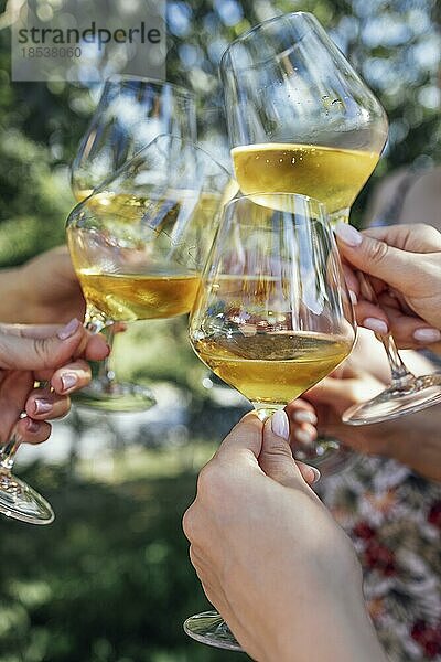 Ein feierlicher Trinkspruch mit Sekt. Weibliche Hände halten Gläser mit Champagner. Geburtstag  Urlaub  Party und Freundschaft Konzept