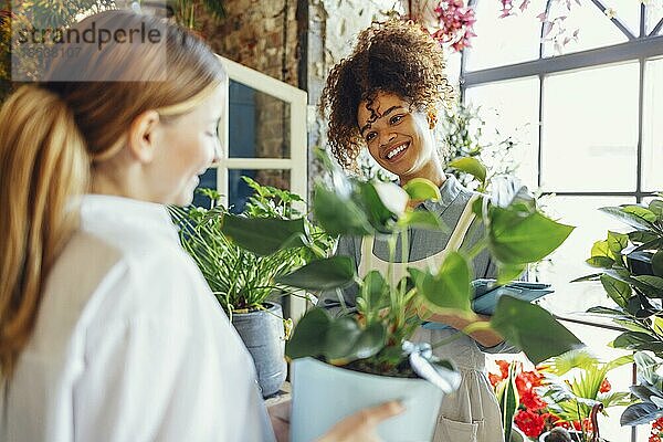 Glückliche schwarze Unternehmerin steht in einem Blumenladen und verkauft frische Blumen an Kunden. Junge blonde Mädchen kaufen einen frischen Blumenstrauß von Florist. Lächelnde afrikanische Frau Botaniker  Verkauf von Blumen