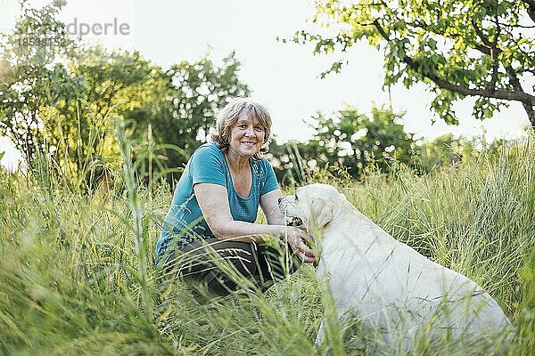 Ältere grauhaarige Frau mit ihrem schönen Hund im Park. Porträt einer lächelnden älteren Frau  die draußen mit ihrem goldenen Labrador auf dem Rasen sitzt. Glückliche ältere Frau  die ihr Haustier umarmt
