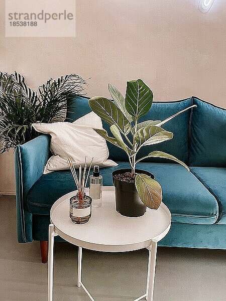 Modernes  gemütliches  geräumiges Interieur mit blauem Sofa und rundem weißen Tisch. Parfüm  Räucherstäbchen und ein Blumentopf stehen auf dem Tisch. In der Nähe des Sofas steht eine große grüne Zimmerpflanze. Komfort Lebenskonzept