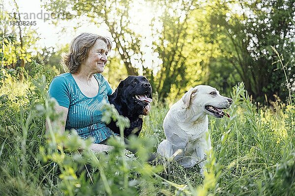 Ältere grauhaarige Frau mit ihren Hunden im Park. Porträt einer lächelnden älteren Frau  die draußen mit ihren goldenen und schwarzen Labradoren im Gras sitzt. Glückliche ältere Frau  die ihr Haustier umarmt