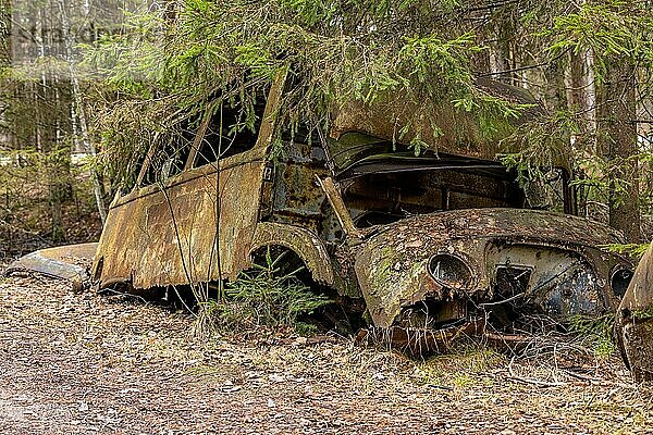 Autofriedhof mitten im Wald bei Ryd  Südschweden