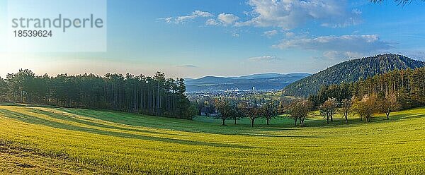 Landschaft in der Morgensonne  Wiese  Wald  Berge  Panorama  Ternitz  Niederösterreich  Österreich  Europa