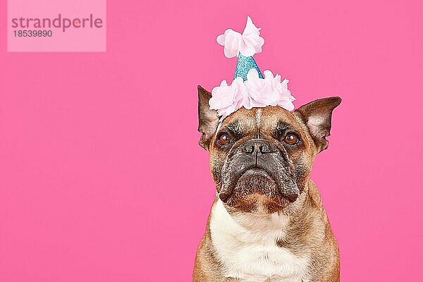 Fawn Französisch Bulldogge Hund mit Geburtstagsparty Hut auf rosa Hintergrund mit Kopie Raum