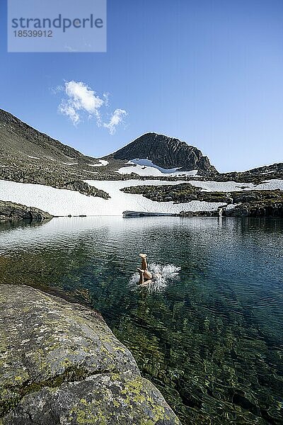 Junger Mann springt in einen Bergsee  Skålavatnet  Aufstieg zum GIpfel des Skåla  Norwegen  Europa