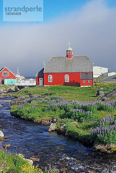 Kleiner Bach und Blumen  alte Kirche in Qaqortoq  Kommune Kujalleq  Arktis  Grönland  Dänemark  Nordamerika