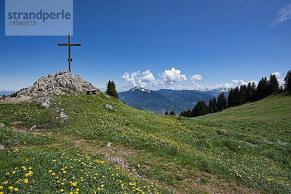 Gipfelkreuz auf dem Bärenköpfle  1476m  Nagelfluhkette  Allgäuer Alpen  Allgäu  Bayern  Deutschland  Europa