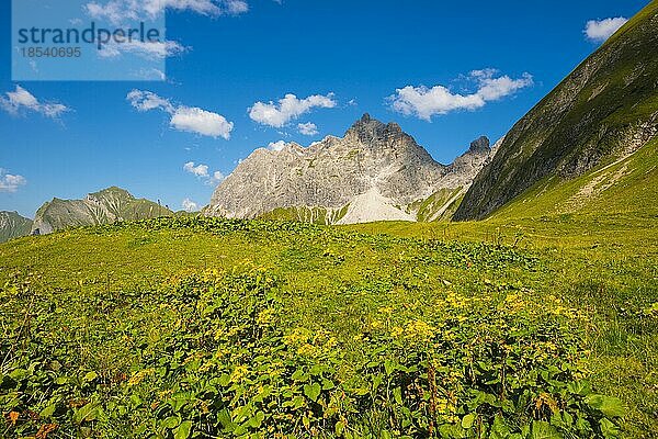 Großer Wilder  2379m  Hochvogel- und Rosszahngruppe  Allgäuer Alpen  Allgäu  Bayern  Deutschland  Europa
