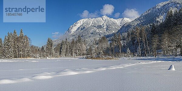 Moorweiher bei Oberstdorf  dahinter Rubihorn  1957m  Gaisalphorn  1953m  und Schattenberg  1845m  Oberallgaeu  Allgaeu  Bayern  Deutschland  Europa