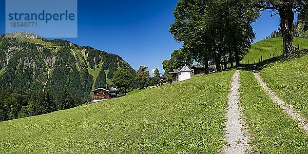 Gerstruben  ein ehemaliges Bergbauerndorf im Dietersbachtal bei Oberstdorf  Allgäuer Alpen  Allgäu  Bayern  Deutschland  Europa