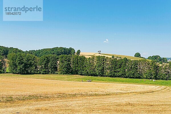 Ausgedehnte Hügellandschaft mit Feldern  Wiesen und Wäldern in der Region Rhön an einem klaren Sommertag