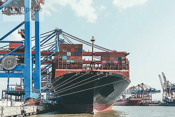 Großes Containerschiff unter Containerbrücken im Hafen  Transport- und Handelskonzept
