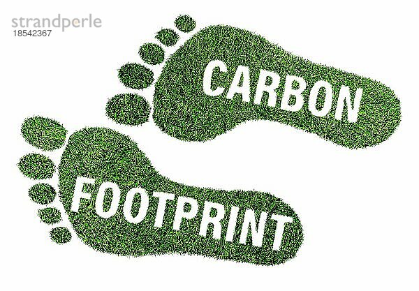 Kohlenstoff-Fußabdruck-Konzept  barfuß Fußabdruck von üppigem grünen Gras mit Text vor weißem Hintergrund gemacht