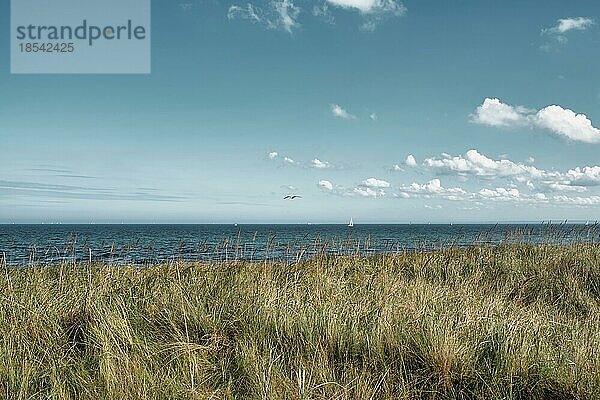 Grasbewachsene Düne und Ostsee vor schönem Himmel