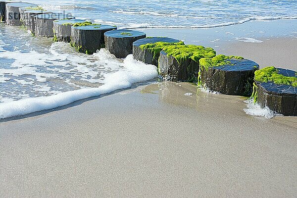 Wasser  Sand und Wellenbrecher an der Ostsee