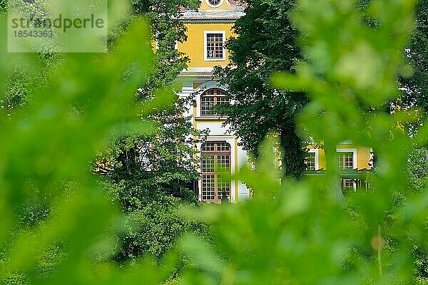 Blick durch Blattgrün auf das Barockschloss Neschwitz. View through leafy green onto the baroque Neschwitz Castle