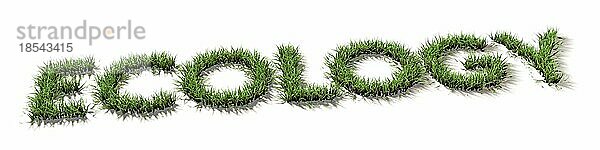 Das Wort Ökologie in Form von Grasbuchstaben mit weißem Hintergrund