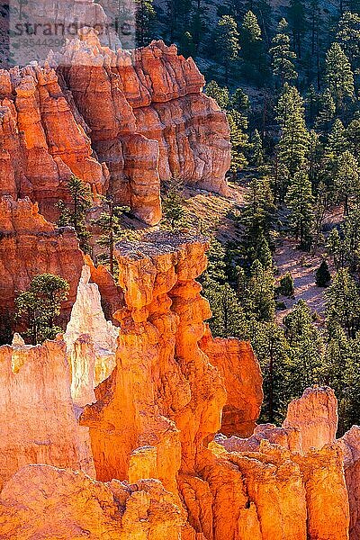 Glühende Hoodoos im Bryce Canyon
