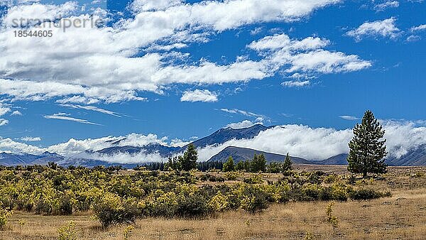 Land entlang des Lake Tekapo