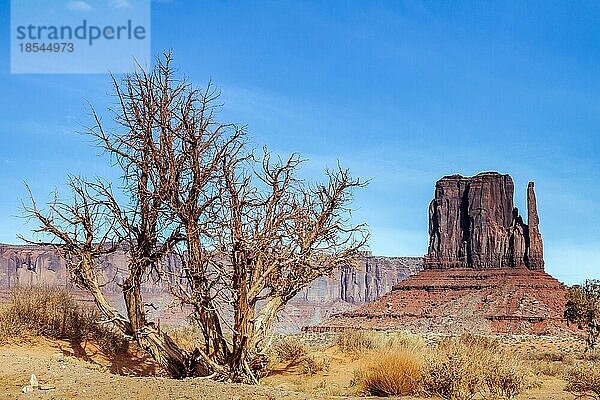 Aussicht auf das Monument Valley Utah USA