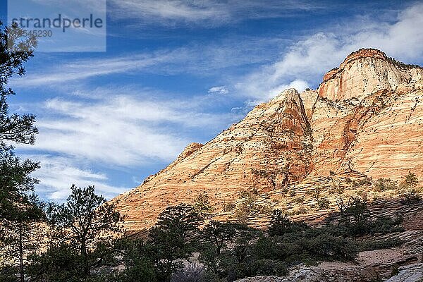 Checkerboard Mesa ein ungewöhnlicher Berg im Zion National Park