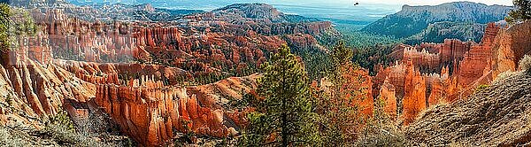 Bryce-Canyon-Panorama