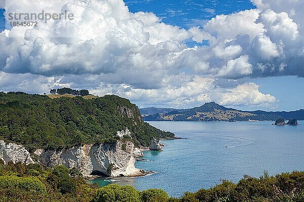 Blick auf Cathedral Cove