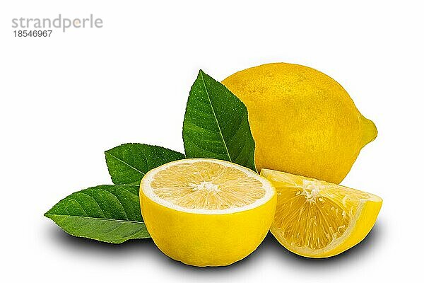 Frisch geerntete Zitrone ganze Hälfte und Abschnitt mit Blättern vor weißem Hintergrund mit Clipping-Pfad